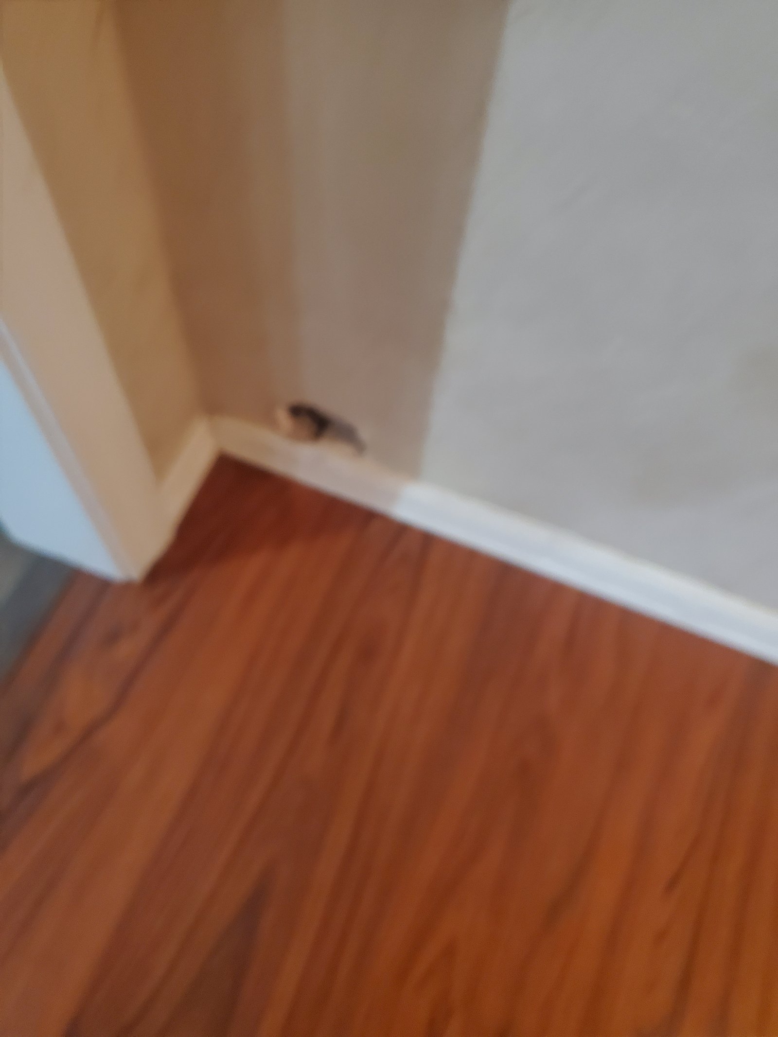 Flooring installation project gallery - Project 135 - Image 1