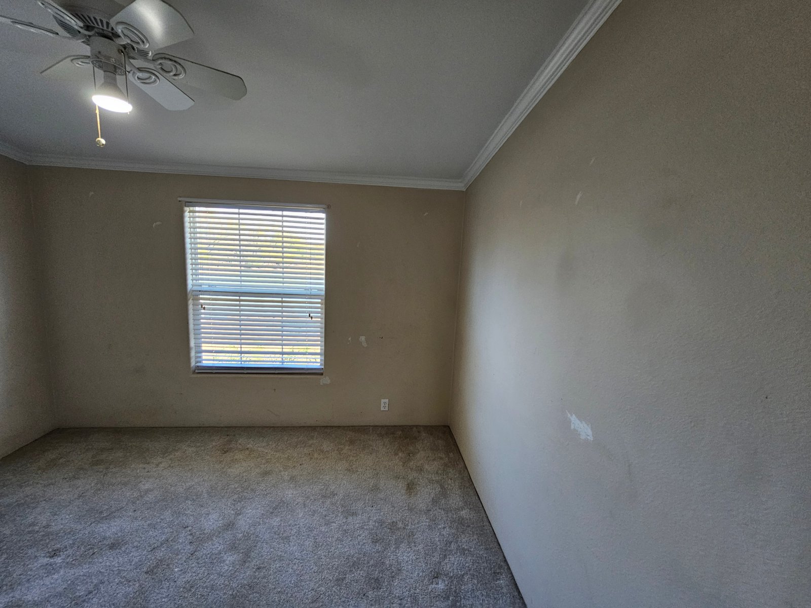 Flooring installation project gallery - Project 136 - Image 27