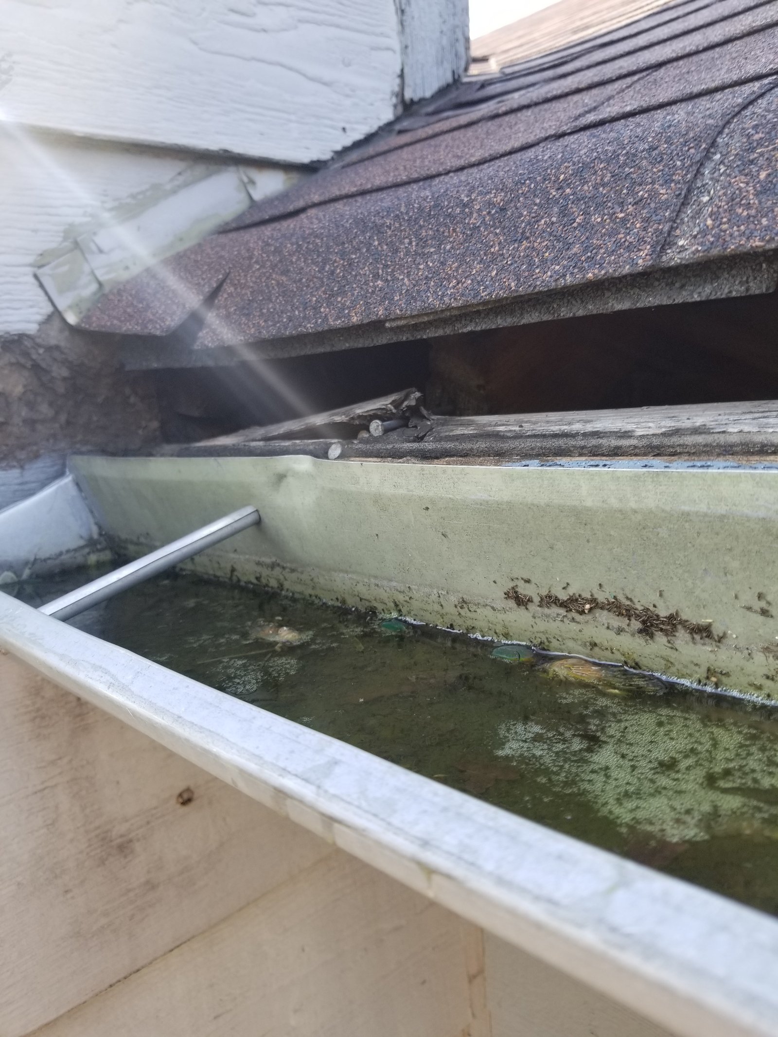 Siding installation project gallery - Project 112 - Image 25