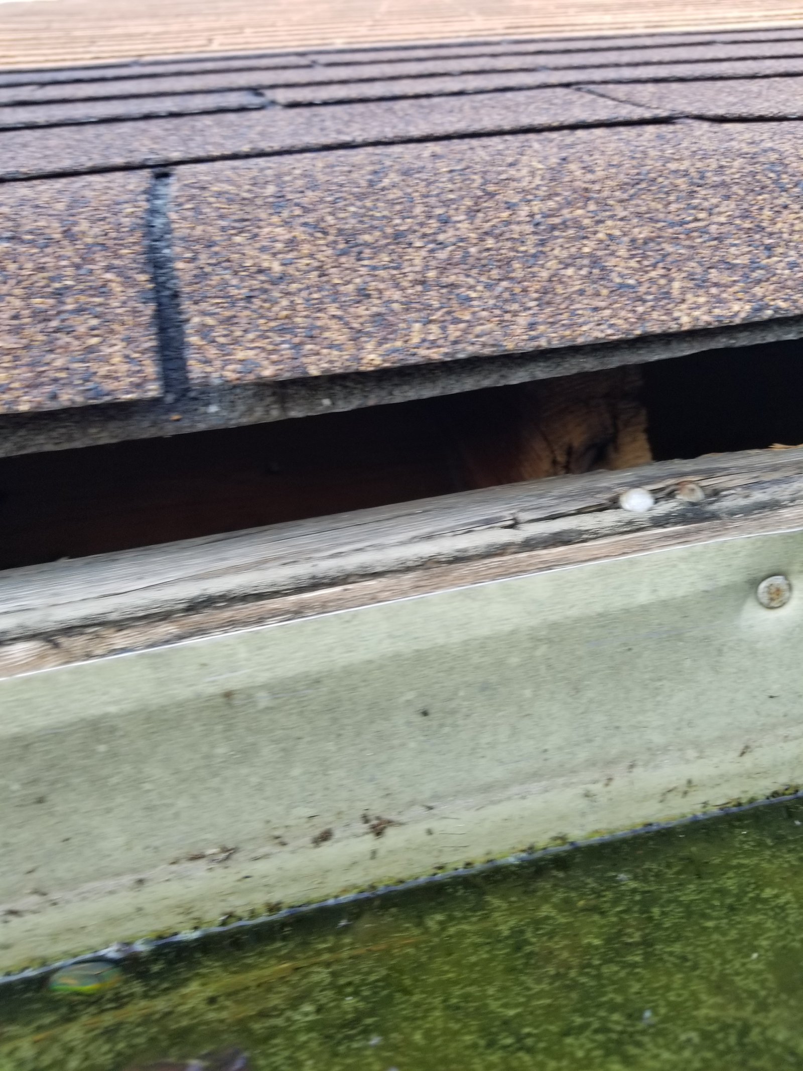 Siding installation project gallery - Project 112 - Image 29